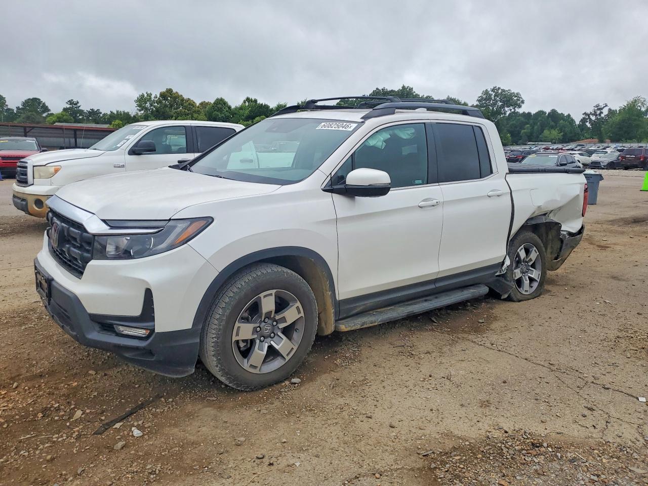 5FPYK3F51RB014061 · 2024 HONDA RIDGELINE