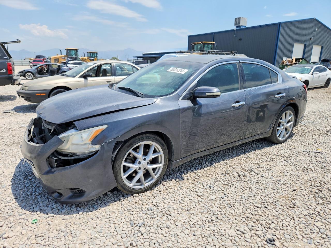 1N4AA51E89C829117 · 2009 NISSAN MAXIMA