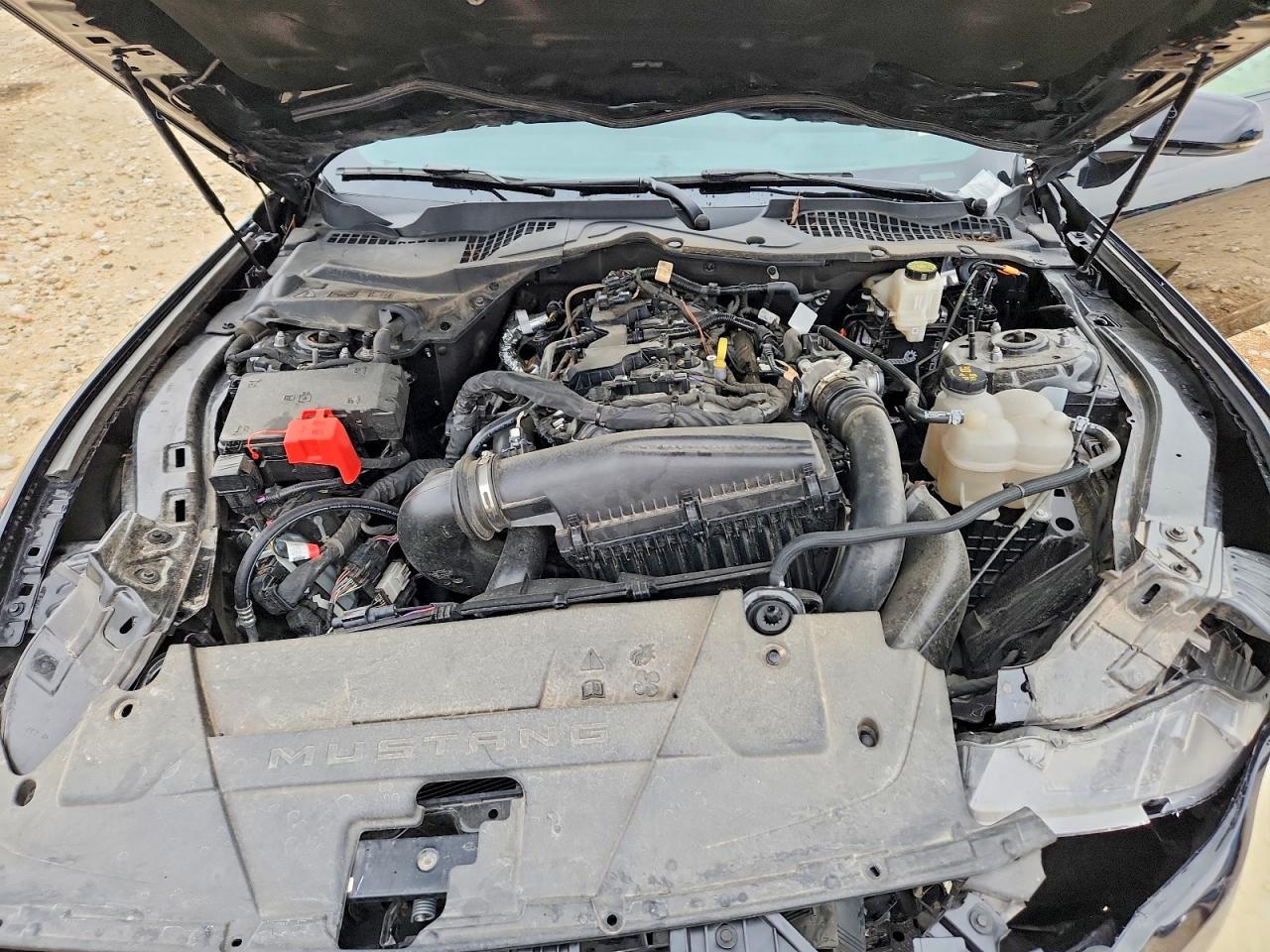 1FA6P8TH0R5114477 · 2024 FORD MUSTANG · 11/12