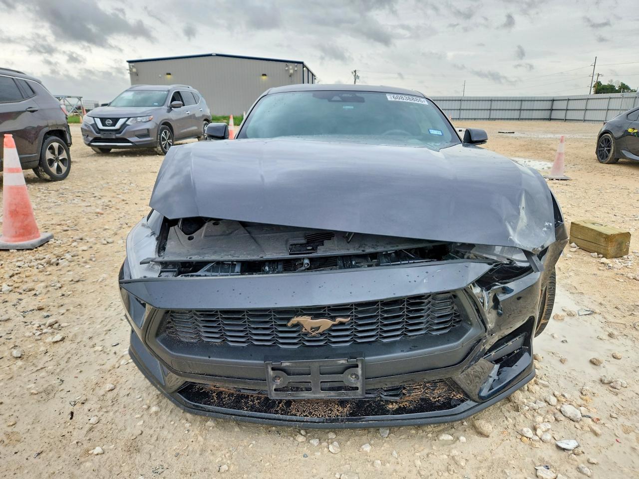 1FA6P8TH0R5114477 · 2024 FORD MUSTANG · 5/12