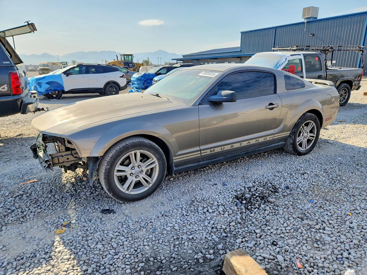 1ZVFT80N655238566 · 2005 FORD MUSTANG