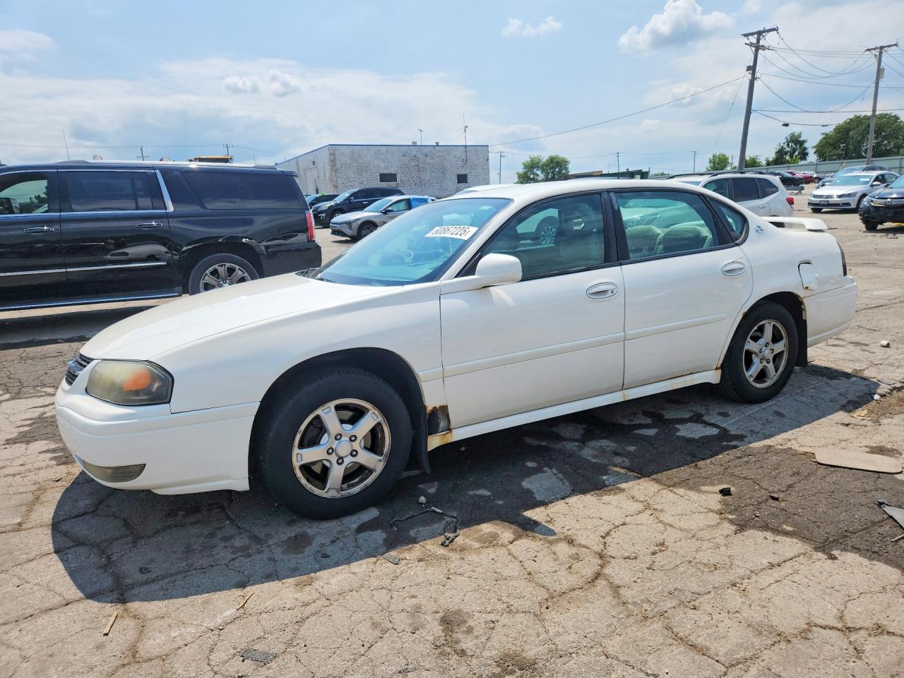 2G1WH52K159139493 · 2005 CHEVROLET IMPALA