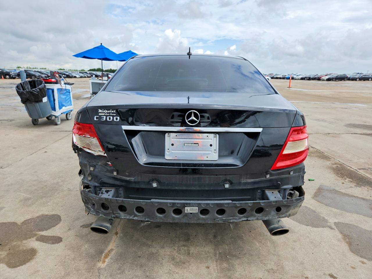 WDDGF54X39R071273 · 2009 MERCEDES-BENZ C · 6/12