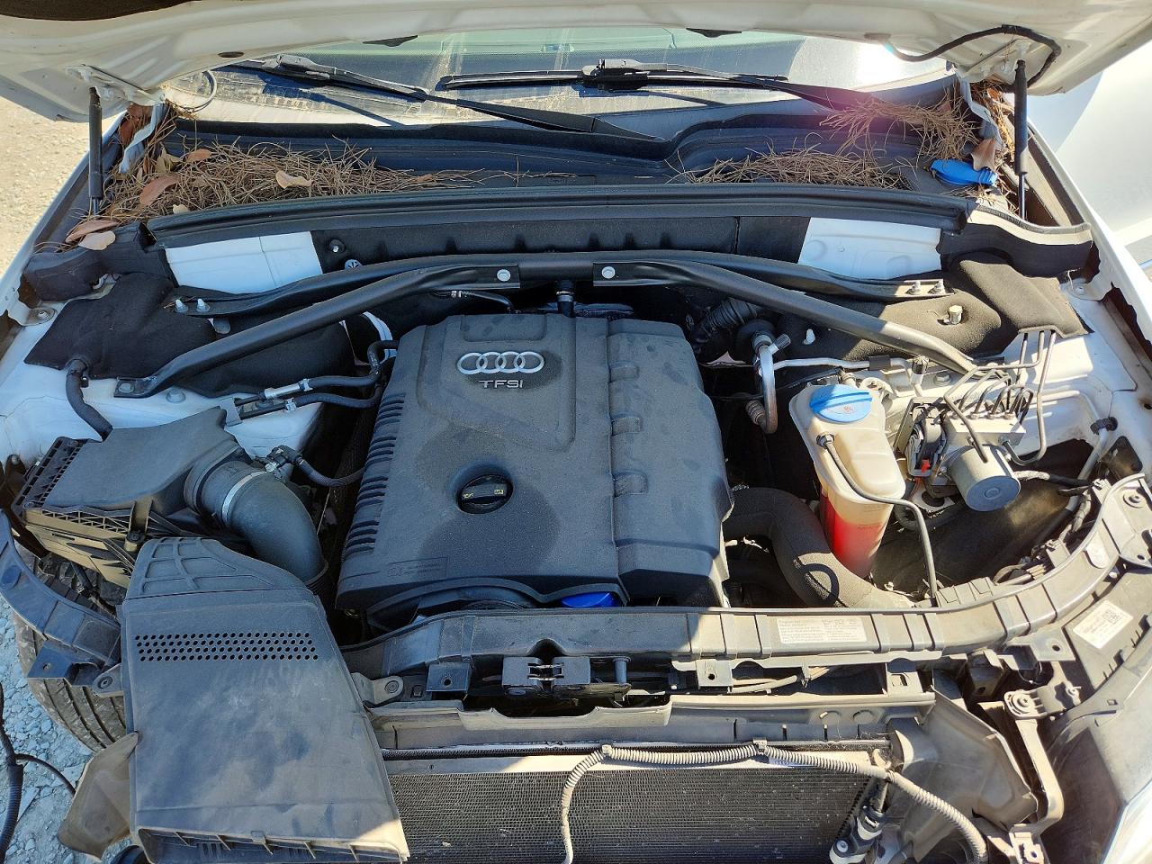 WA1CFAFP1FA138990 · 2015 AUDI Q5 · 12/13