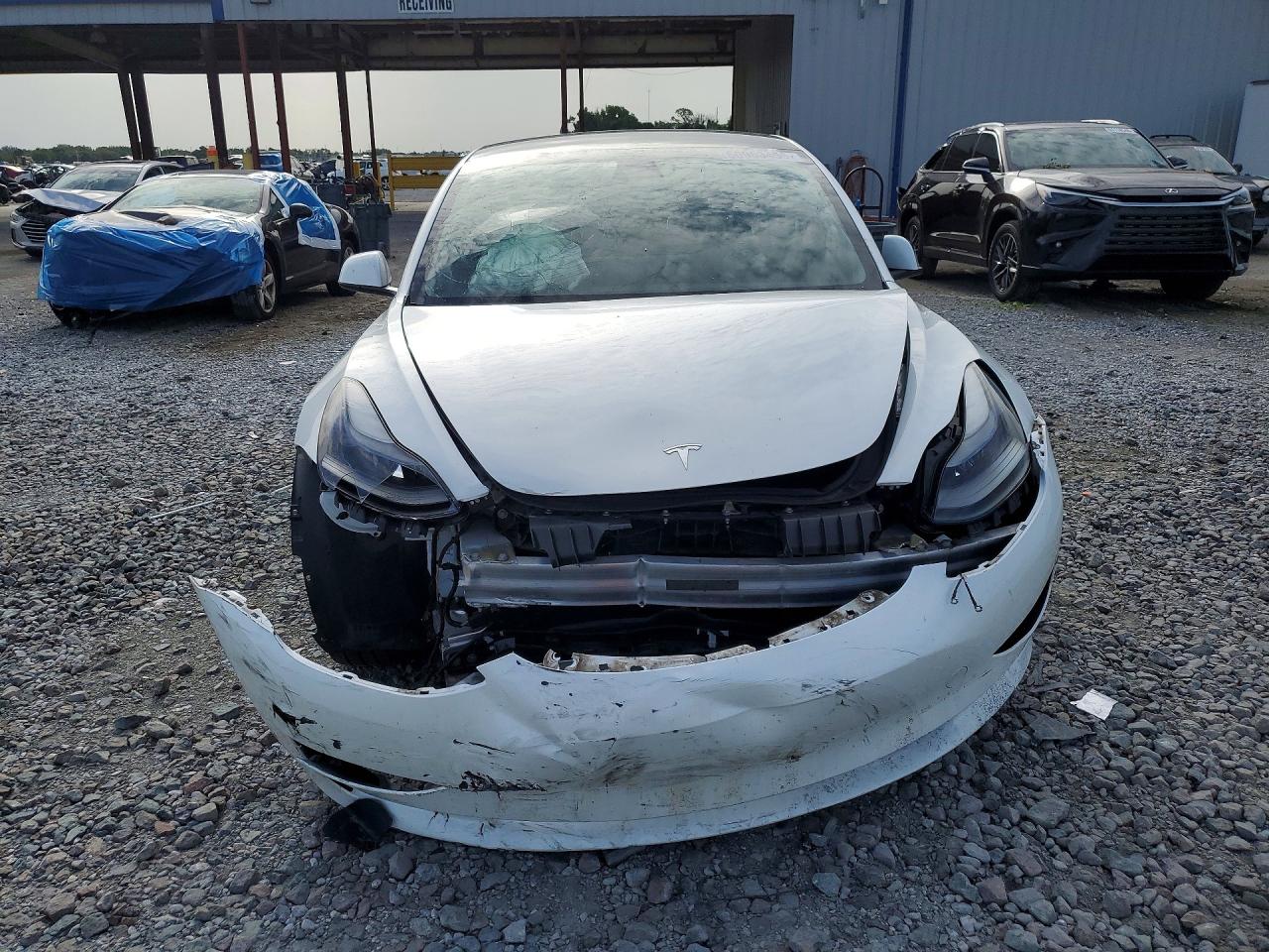 5YJ3E1EA7PF562527 · 2023 TESLA MODEL 3 · 5/12