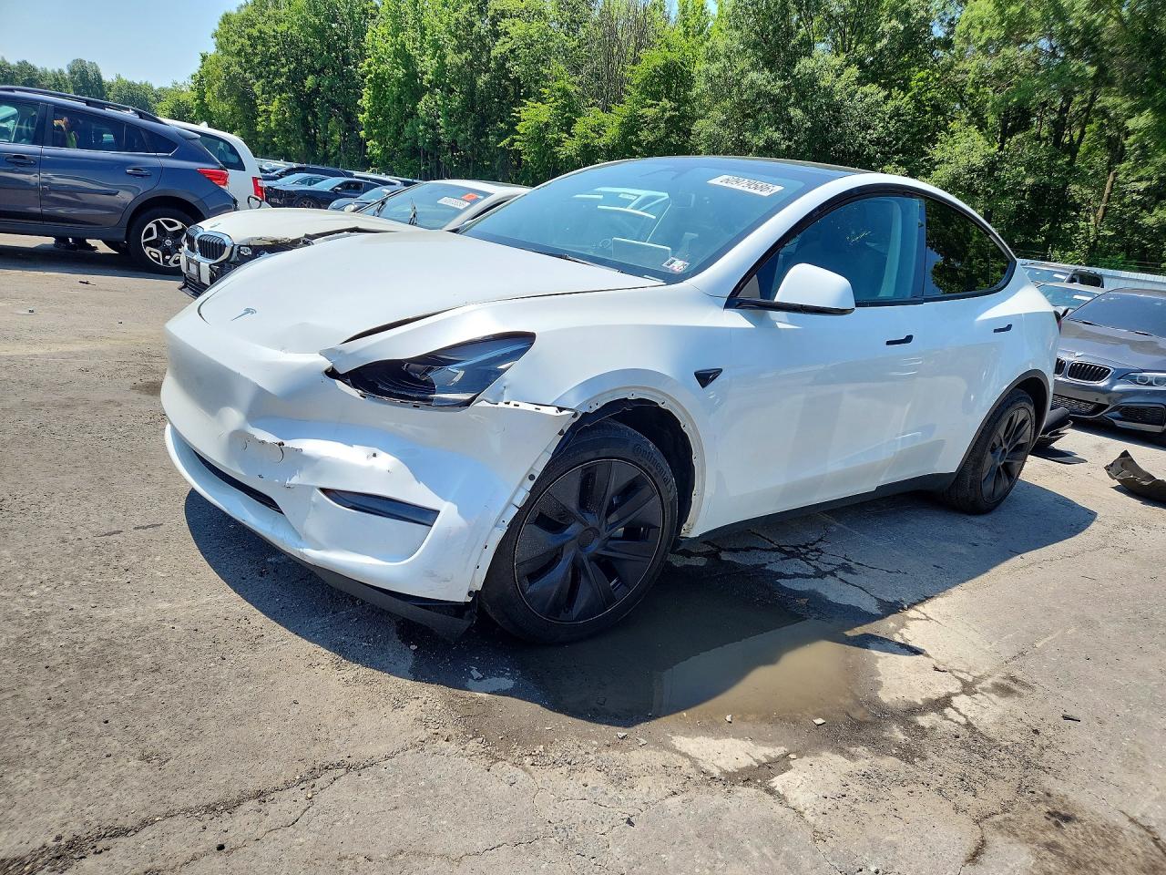 7SAYGDEE5RA326966 · 2024 TESLA MODEL Y