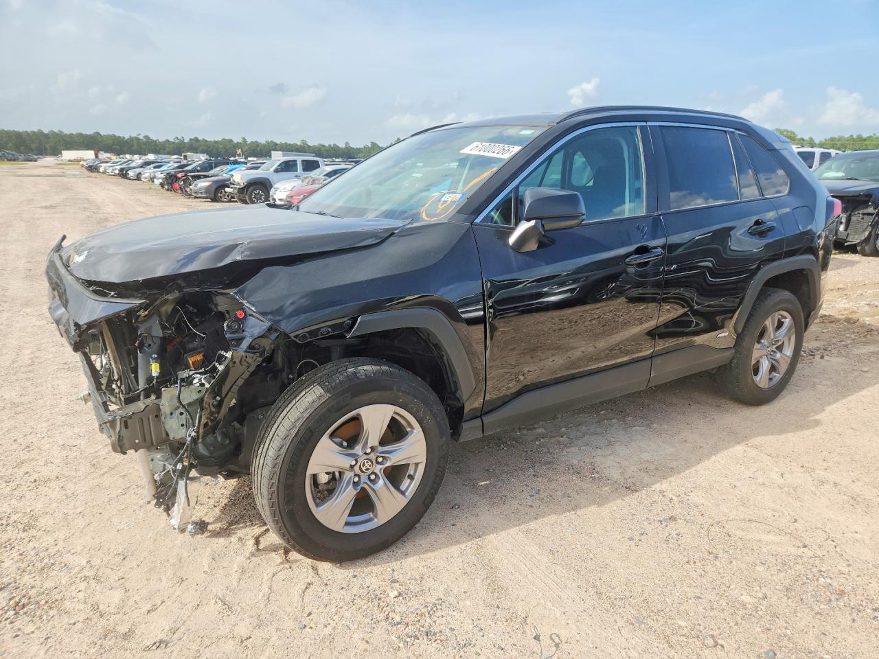2T3LWRFV6SW270884 · 2025 TOYOTA RAV4