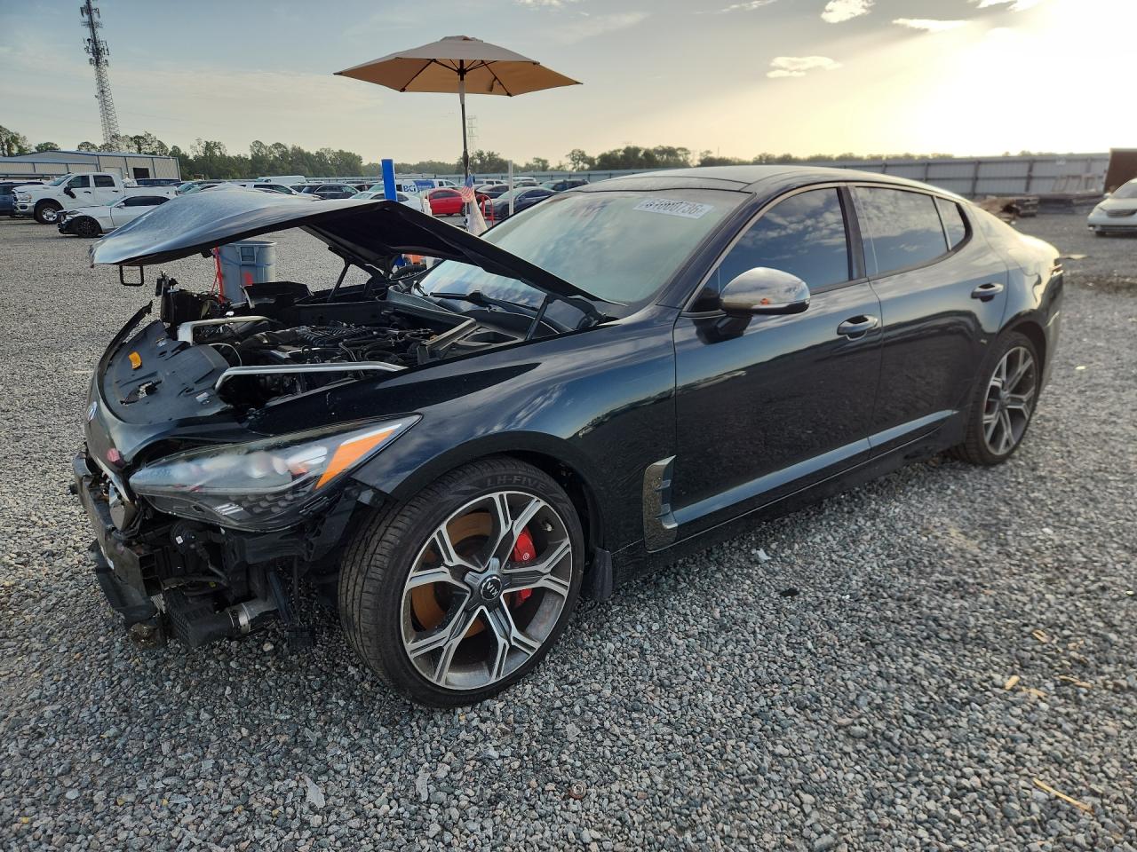 KNAE45LC2K6051042 · 2019 KIA STINGER
