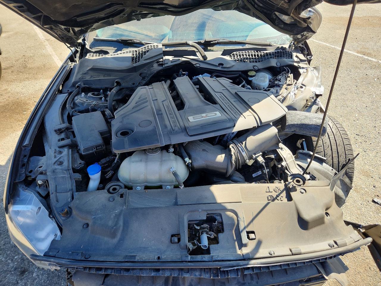 1FA6P8CF7M5142655 · 2021 FORD MUSTANG · 11/13