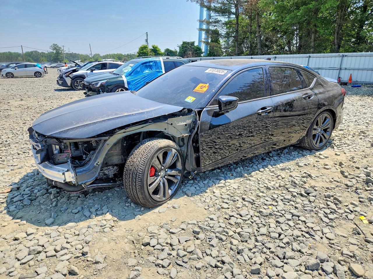 19UUB5F52MA010509 · 2021 ACURA TLX