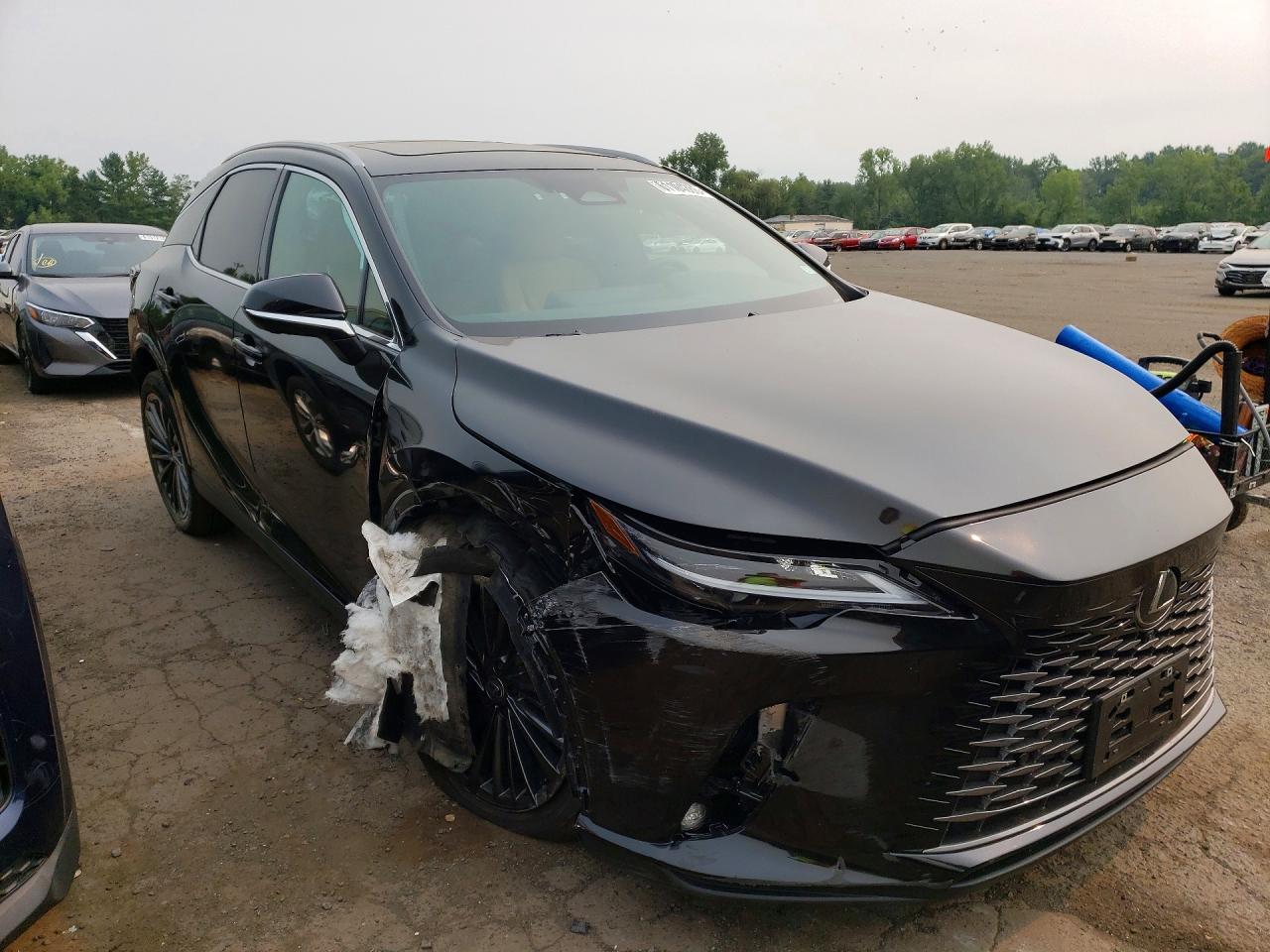 2T2BAMCA7SC118732 · 2025 LEXUS RX 350 · 4/13