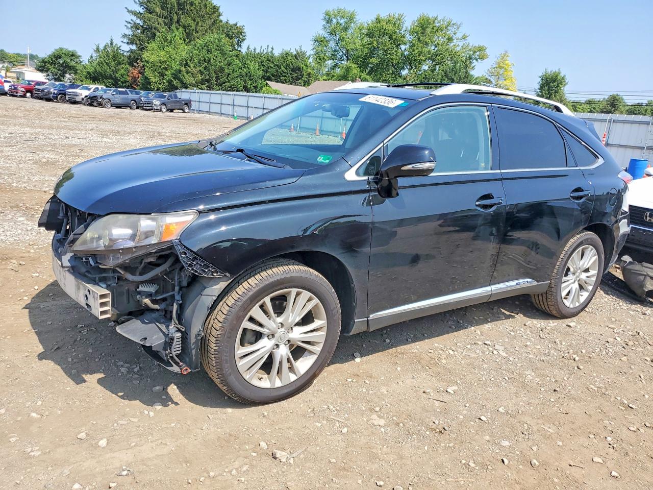 JTJBC1BA9A2006314 · 2010 LEXUS RX450