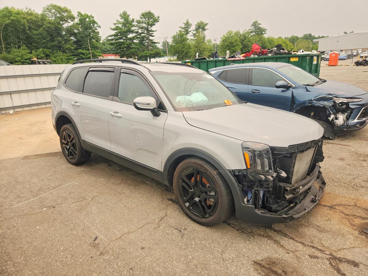 5XYP3DGC5SG567699 · 2025 KIA TELLURIDE · 4/13