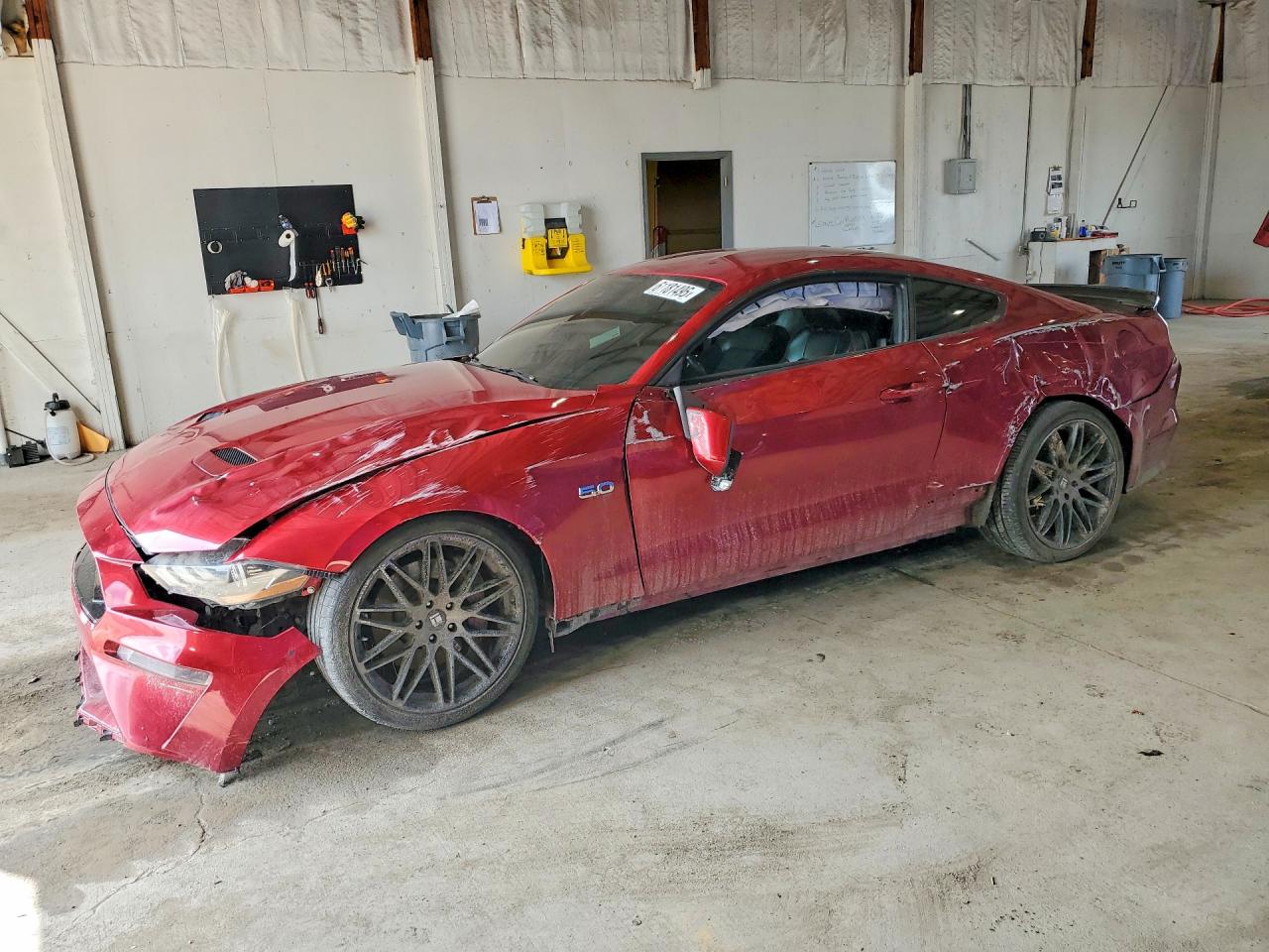 1FA6P8CF4K5141198 · 2019 FORD MUSTANG