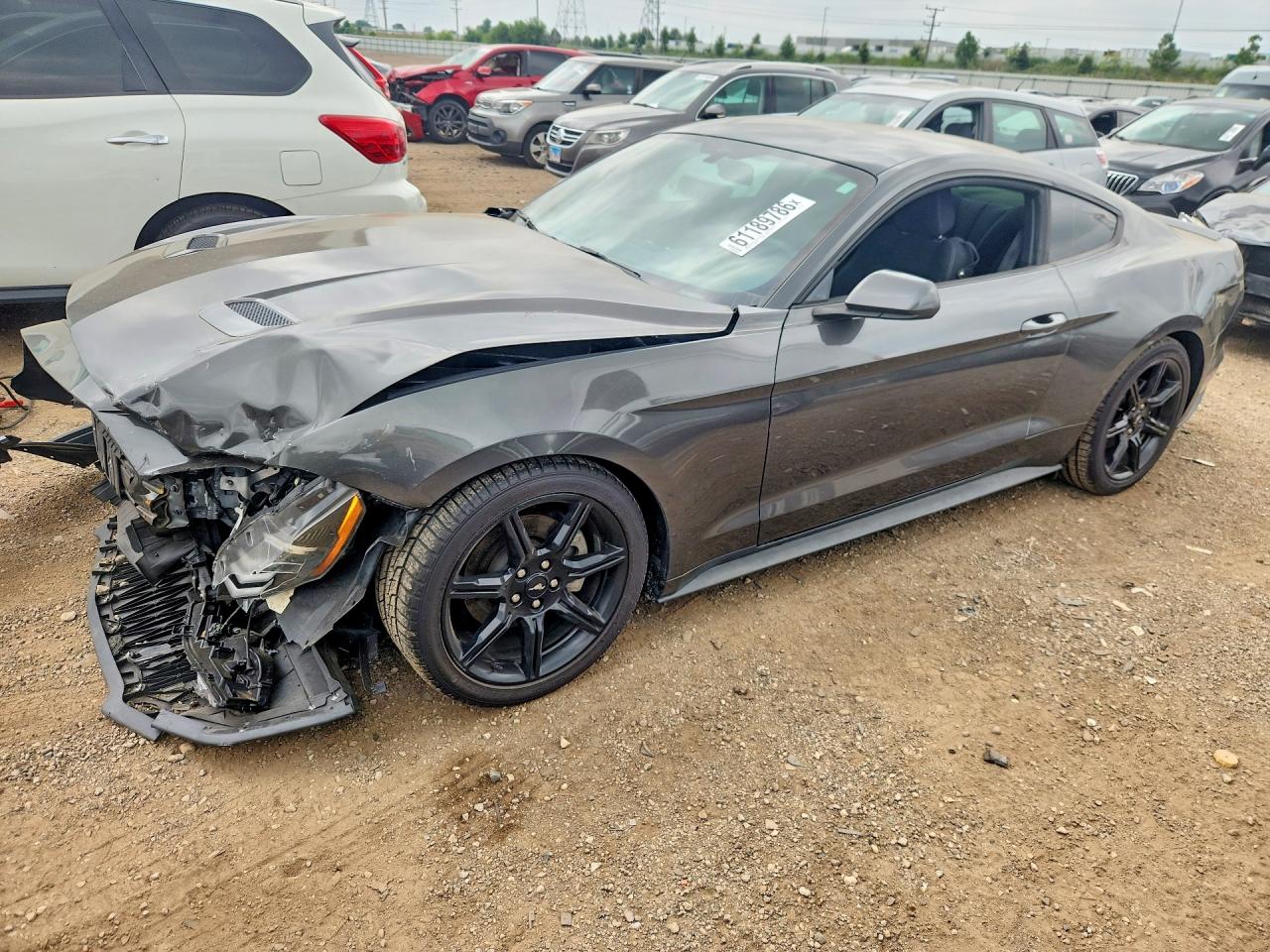 1FA6P8TH9K5174084 · 2019 FORD MUSTANG