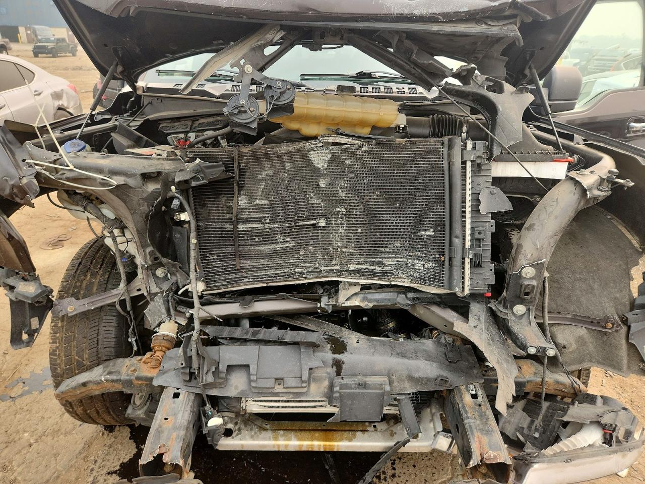 1FTEW1EP5KFD44469 · 2019 FORD F150 · 11/12
