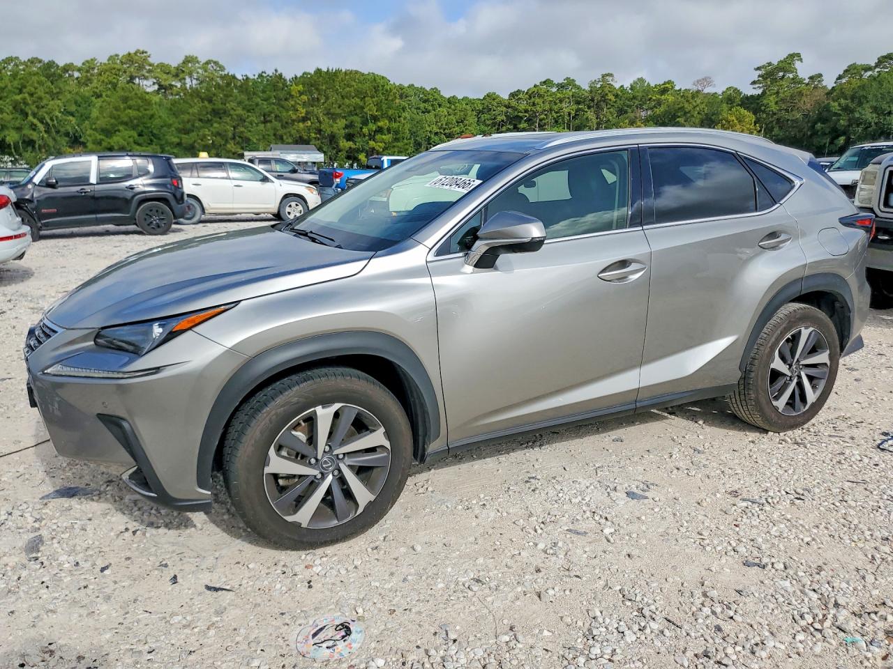 JTJYARBZ2K2137753 · 2019 LEXUS NX 300