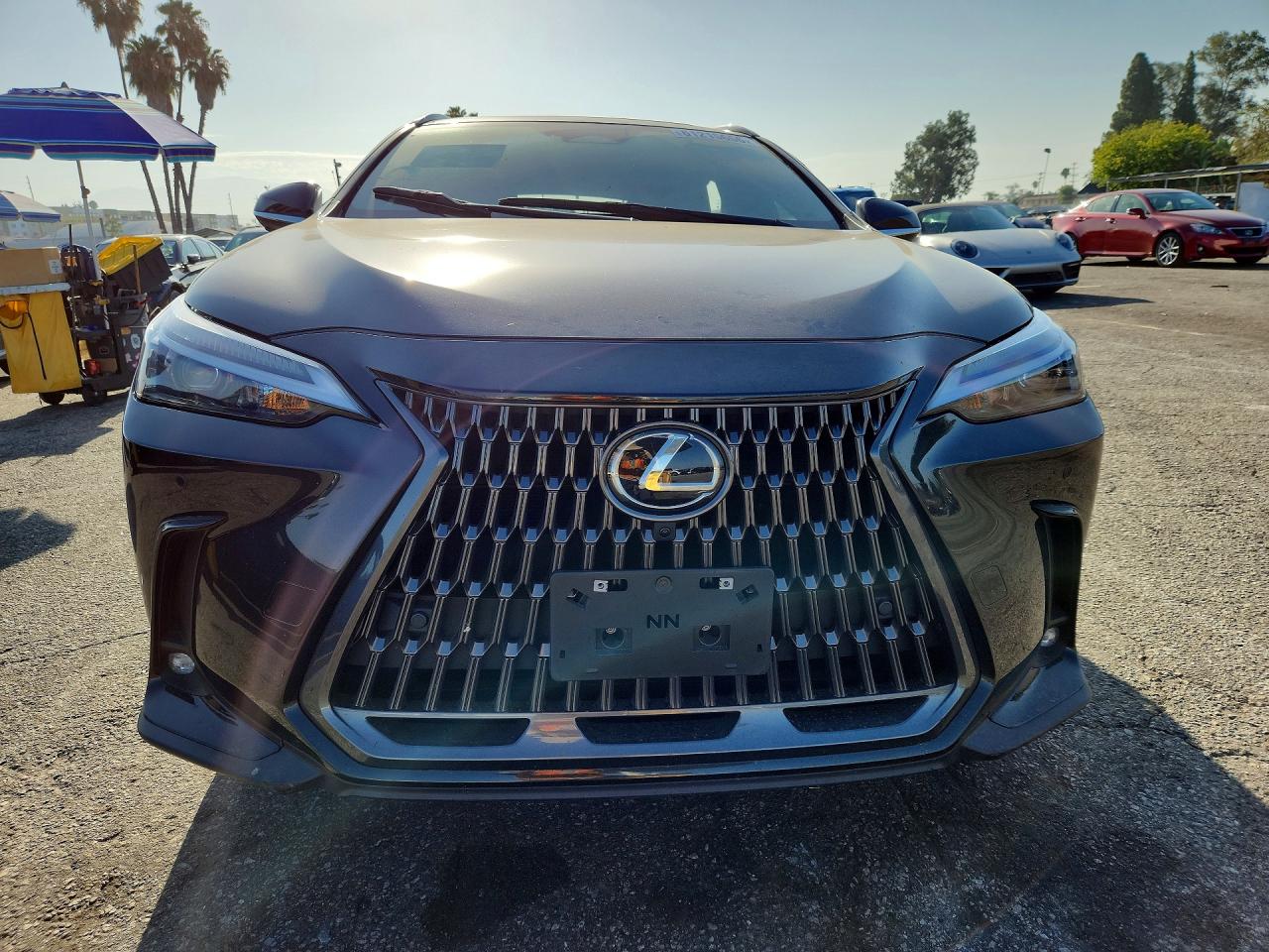 2T2GKCEZ7SC040551 · 2025 LEXUS NX 350H · 5/13