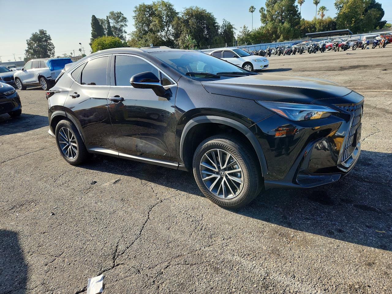 2T2GKCEZ7SC040551 · 2025 LEXUS NX 350H · 4/13