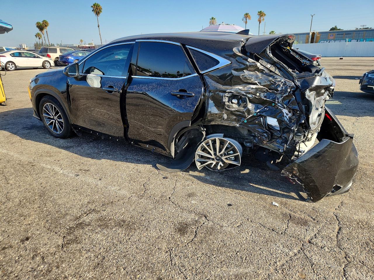 2T2GKCEZ7SC040551 · 2025 LEXUS NX 350H · 2/13