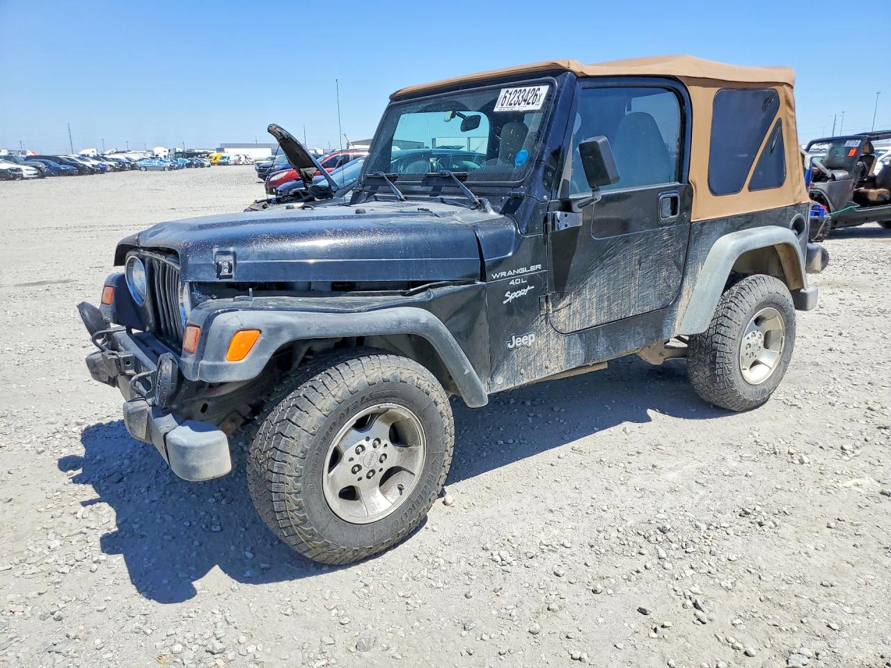 1J4FY19S9XP460945 · 1999 JEEP WRANGLER SE