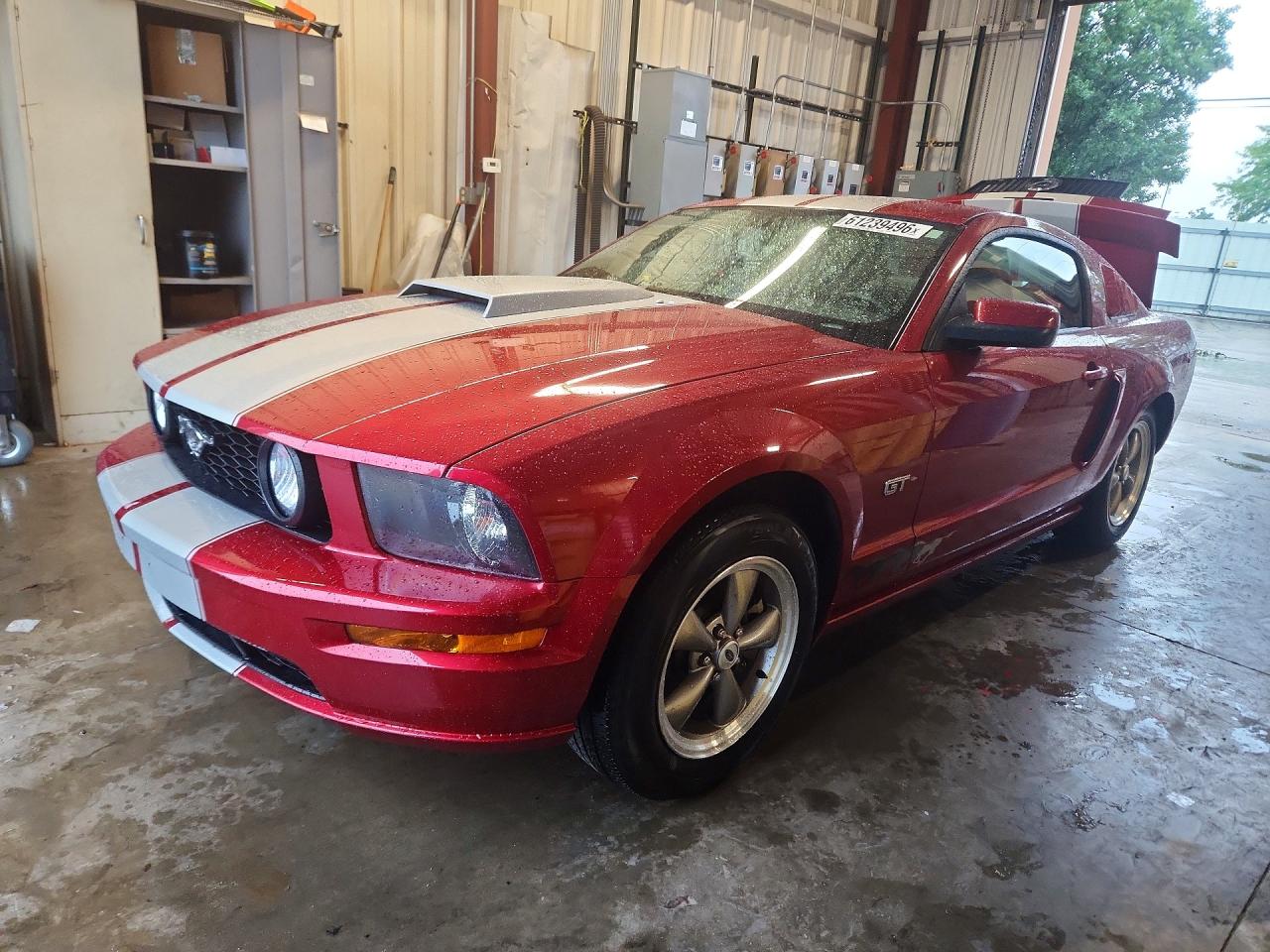 1ZVHT82H365245573 · 2006 FORD MUSTANG