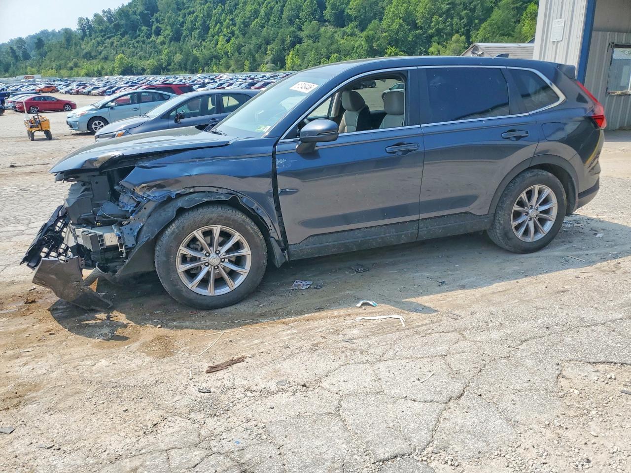 2HKRS4H49RH456837 · 2024 HONDA CR-V