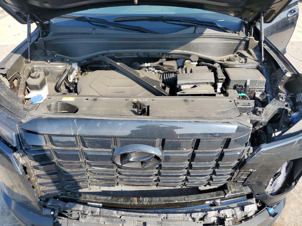 KM8R3DGE3SU839204 · 2025 HYUNDAI PALISADE · 12/13