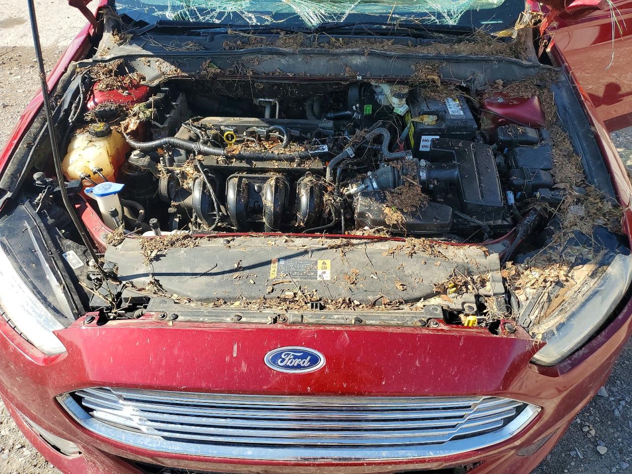 3FA6P0H76GR299324 · 2016 FORD FUSION · 11/12