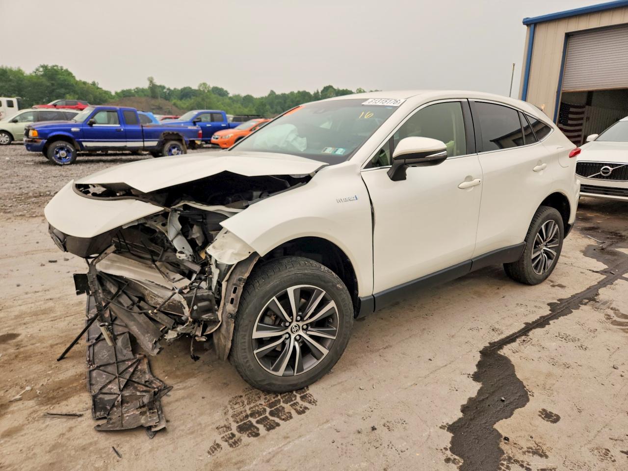 2021 TOYOTA VENZA