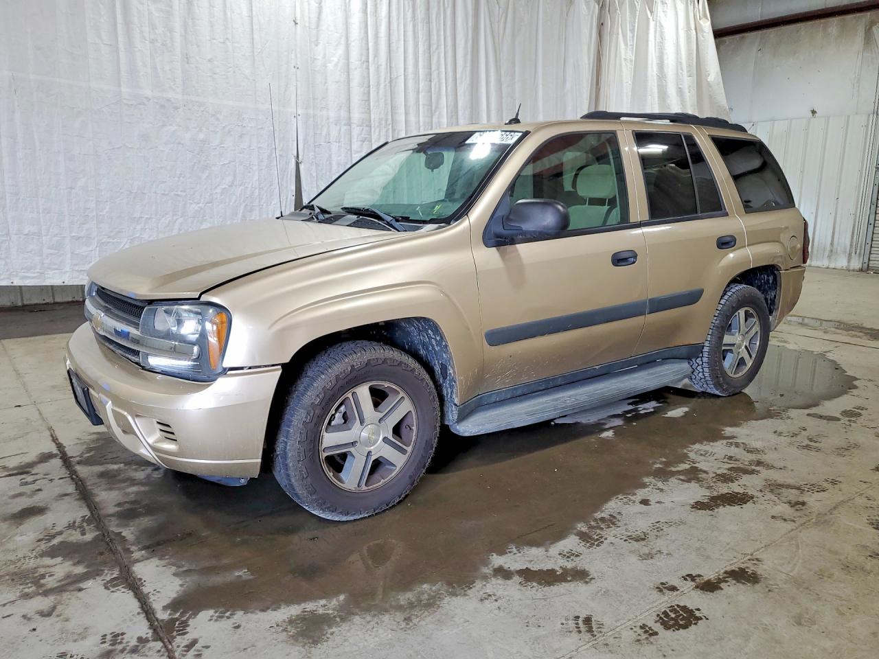 1GNDT13S252249138 · 2005 CHEVROLET TRAILBLAZER