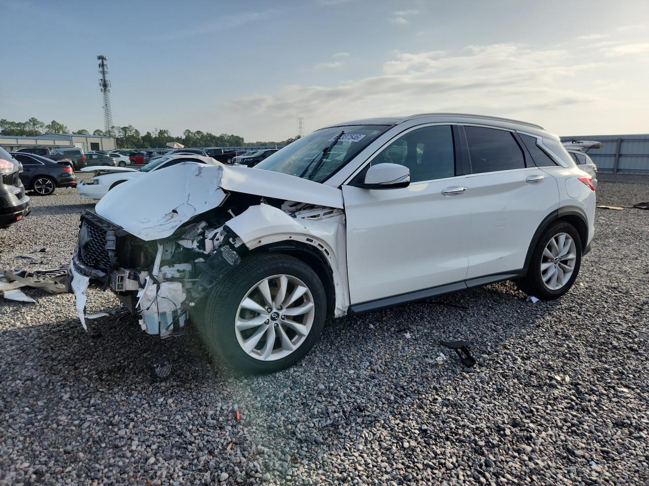 3PCAJ5M39KF126204 · 2019 INFINITI QX50