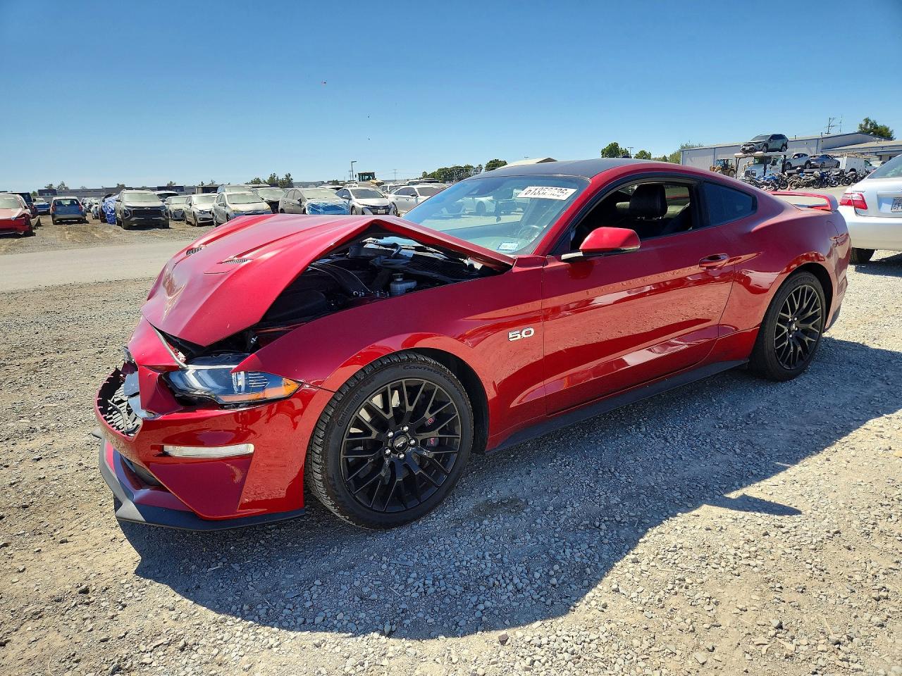 1FA6P8CF4L5167589 · 2020 FORD MUSTANG