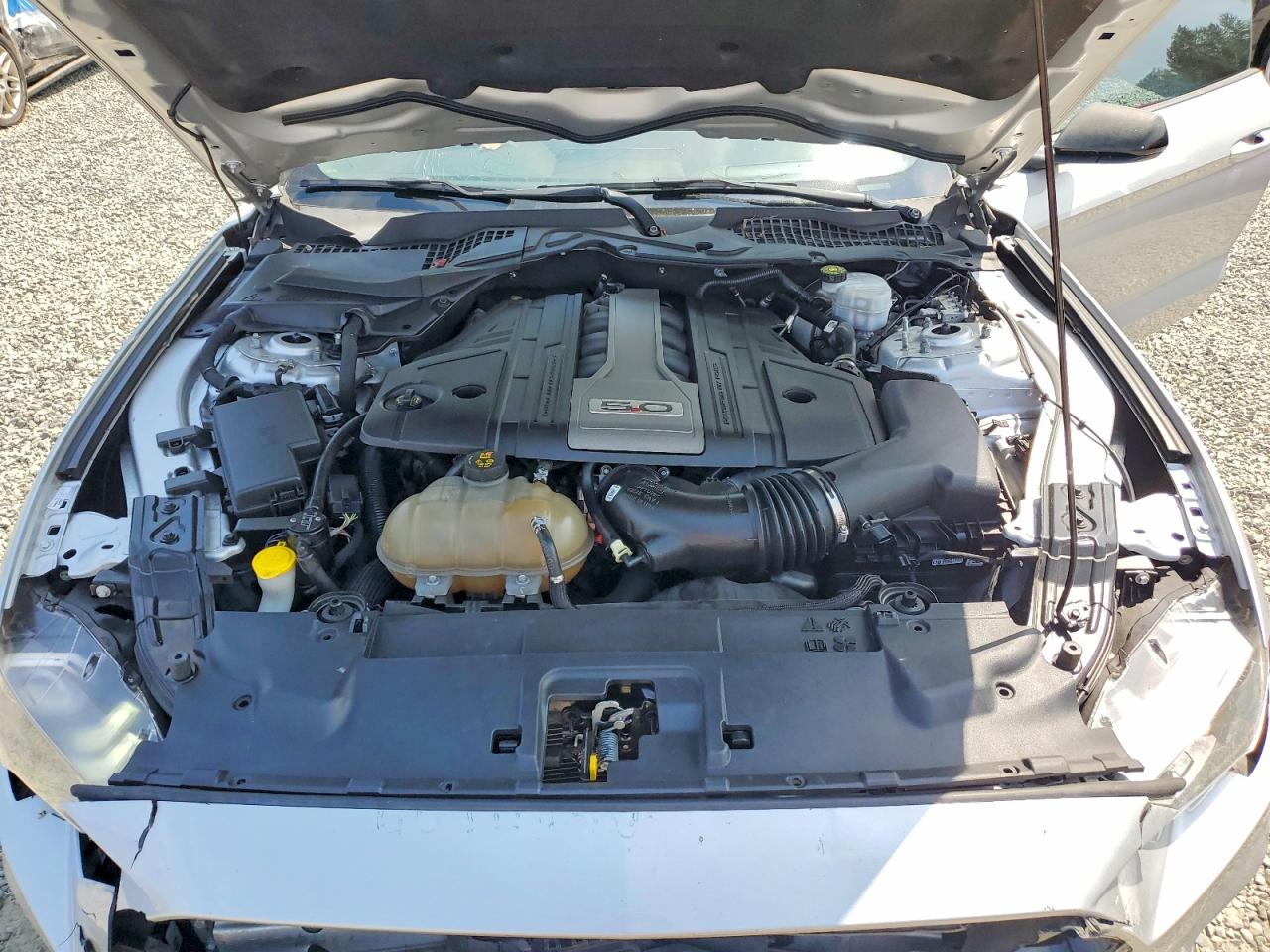 1FA6P8CF6K5102614 · 2019 FORD MUSTANG · 11/12