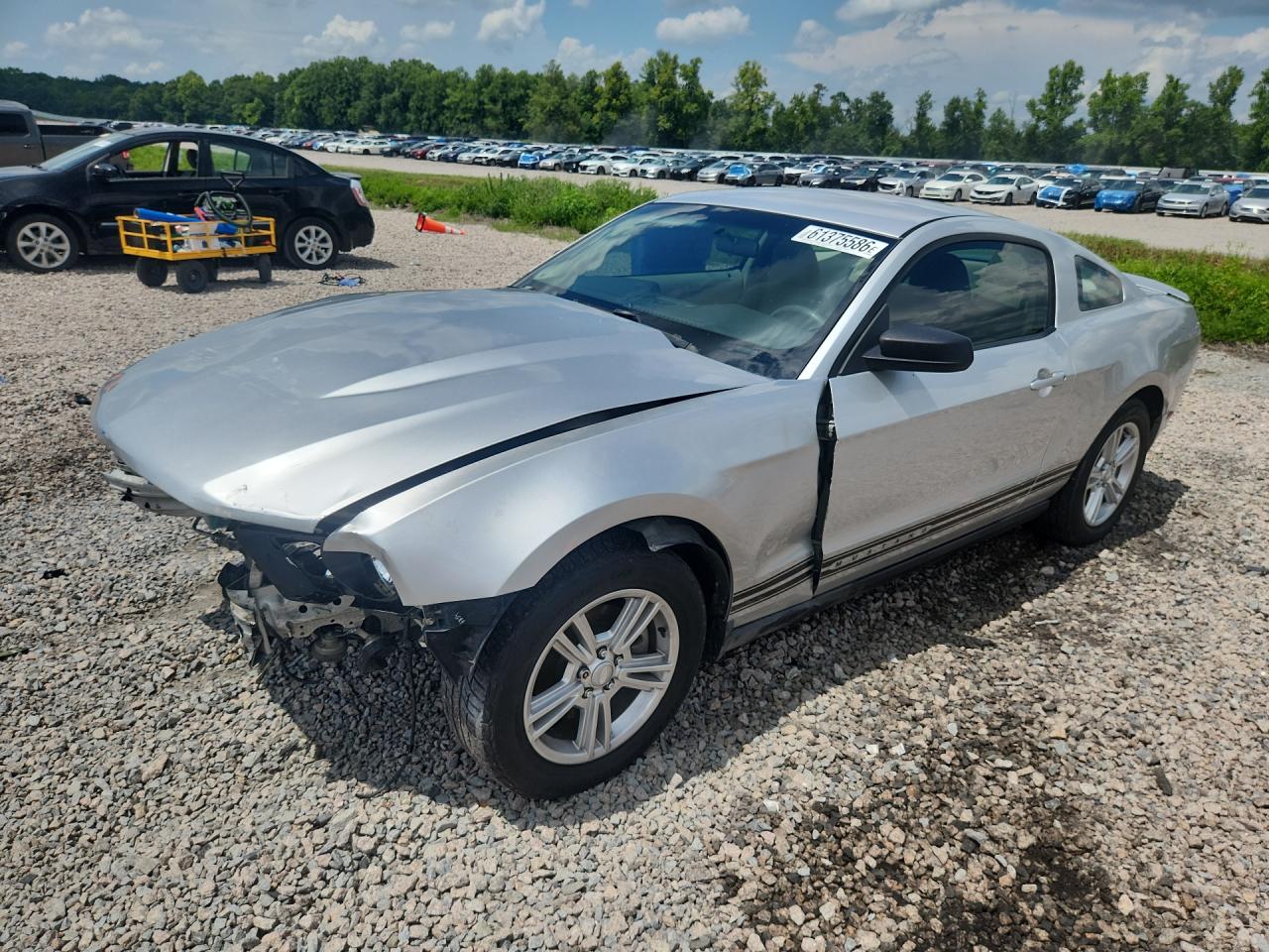 1ZVBP8AM8B5103898 · 2011 FORD MUSTANG