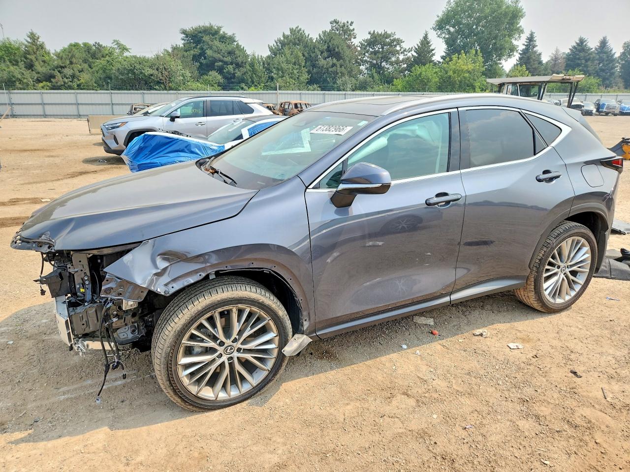 2025 LEXUS NX