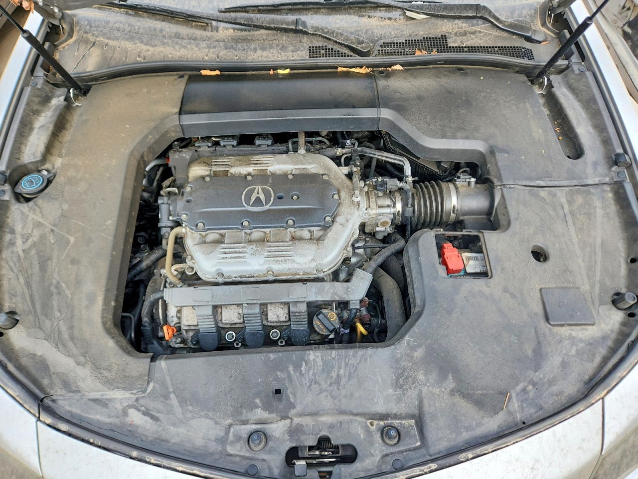 19UUA8F23DA009685 · 2013 ACURA TL · 11/12