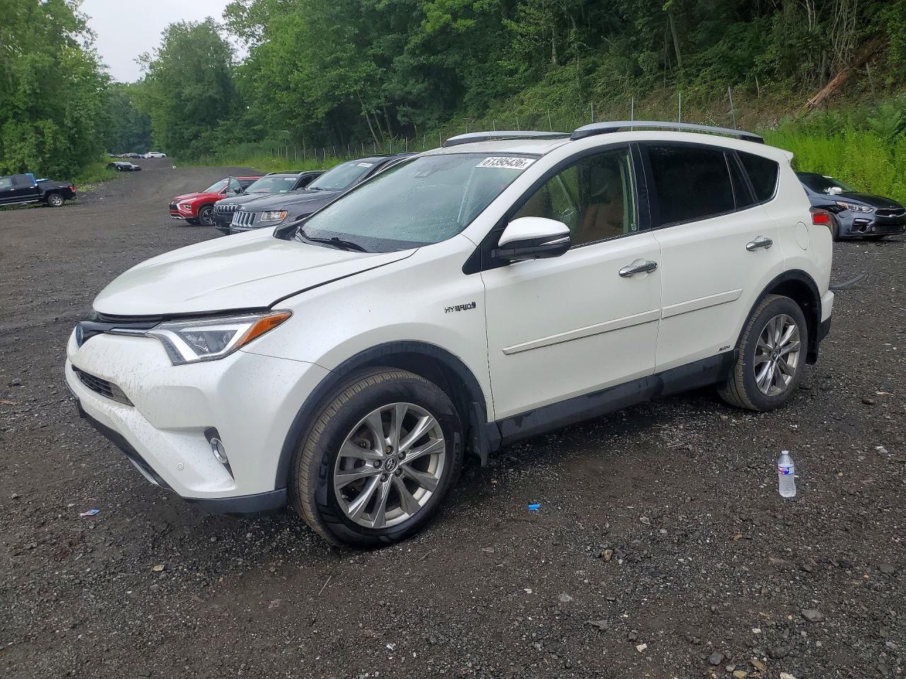 JTMDJREV2GD042423 · 2016 TOYOTA RAV4 HV