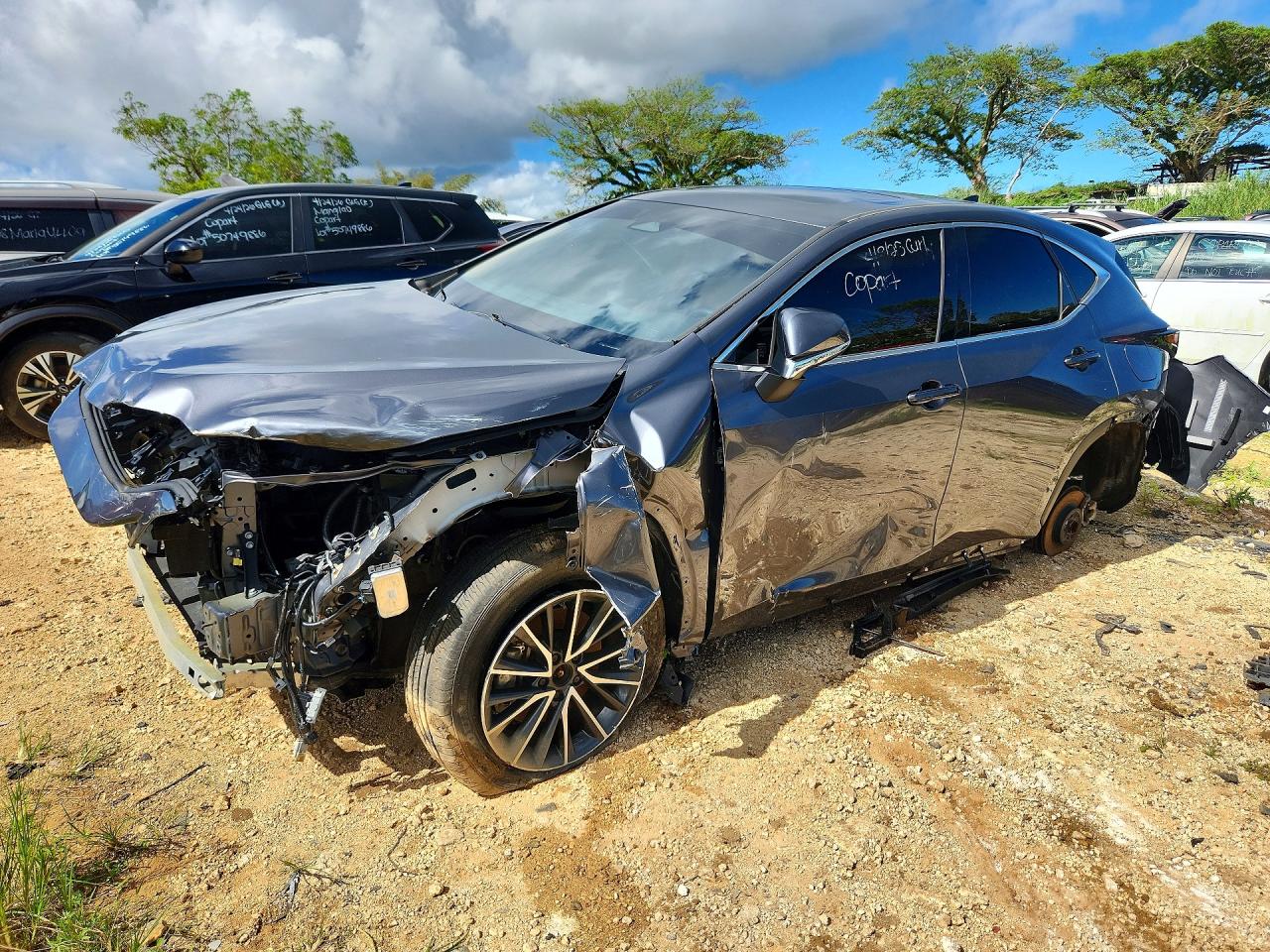 JTJGDCAZ8R2010534 · 2024 LEXUS NX
