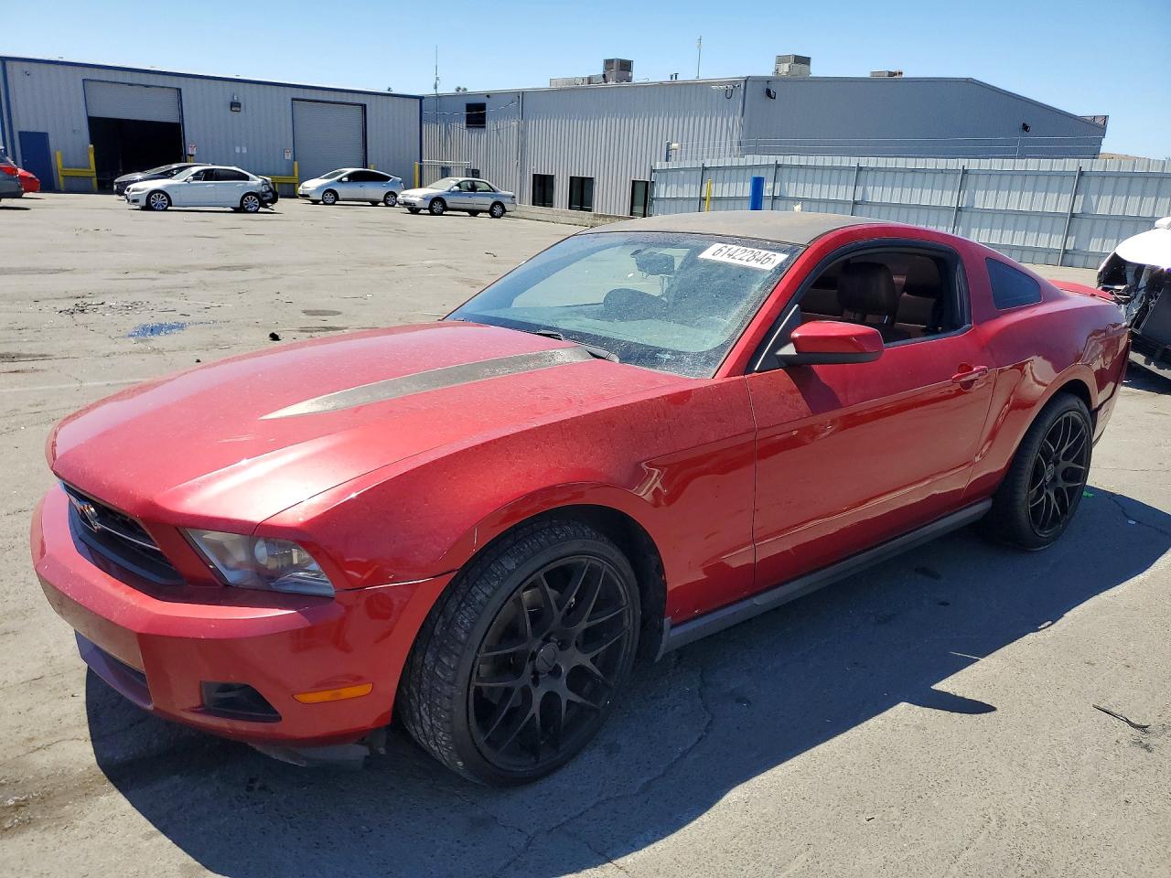 1ZVBP8AM6B5157734 · 2011 FORD MUSTANG
