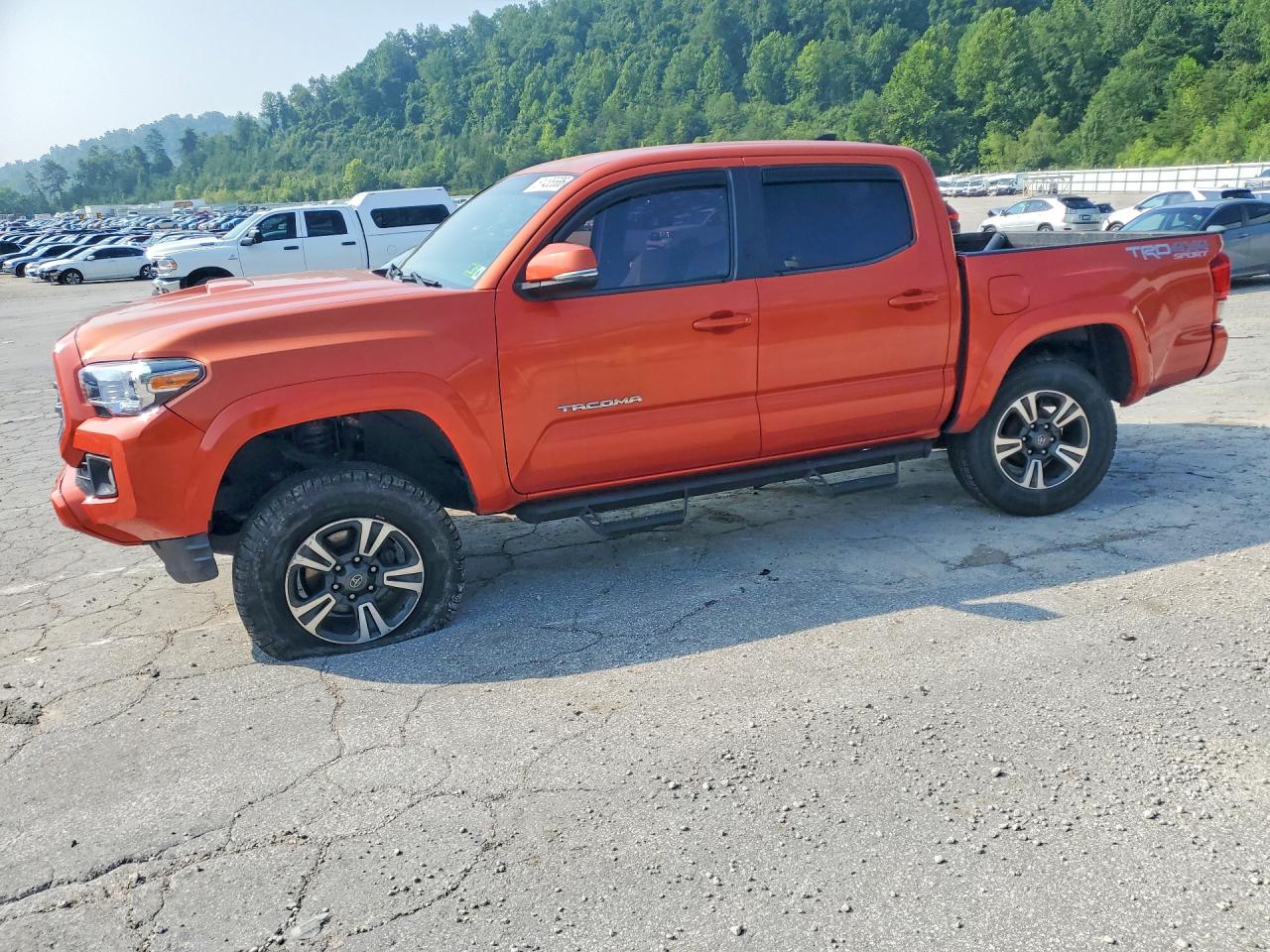 3TMCZ5AN4HM081104 · 2017 TOYOTA TACOMA