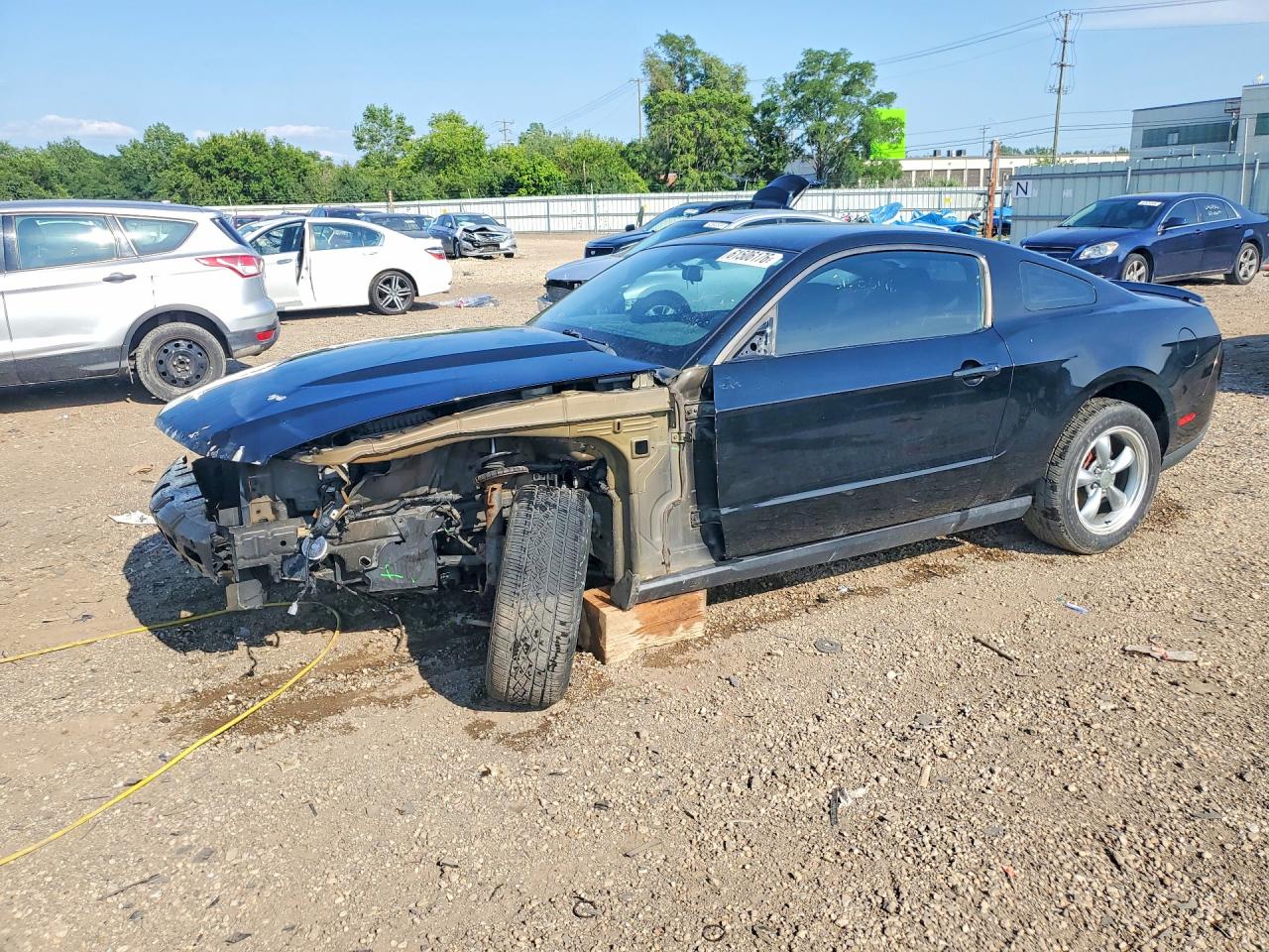 1ZVBP8AM2C5287463 · 2012 FORD MUSTANG