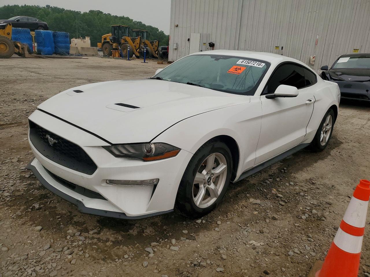 1FA6P8TH3K5105634 · 2019 FORD MUSTANG