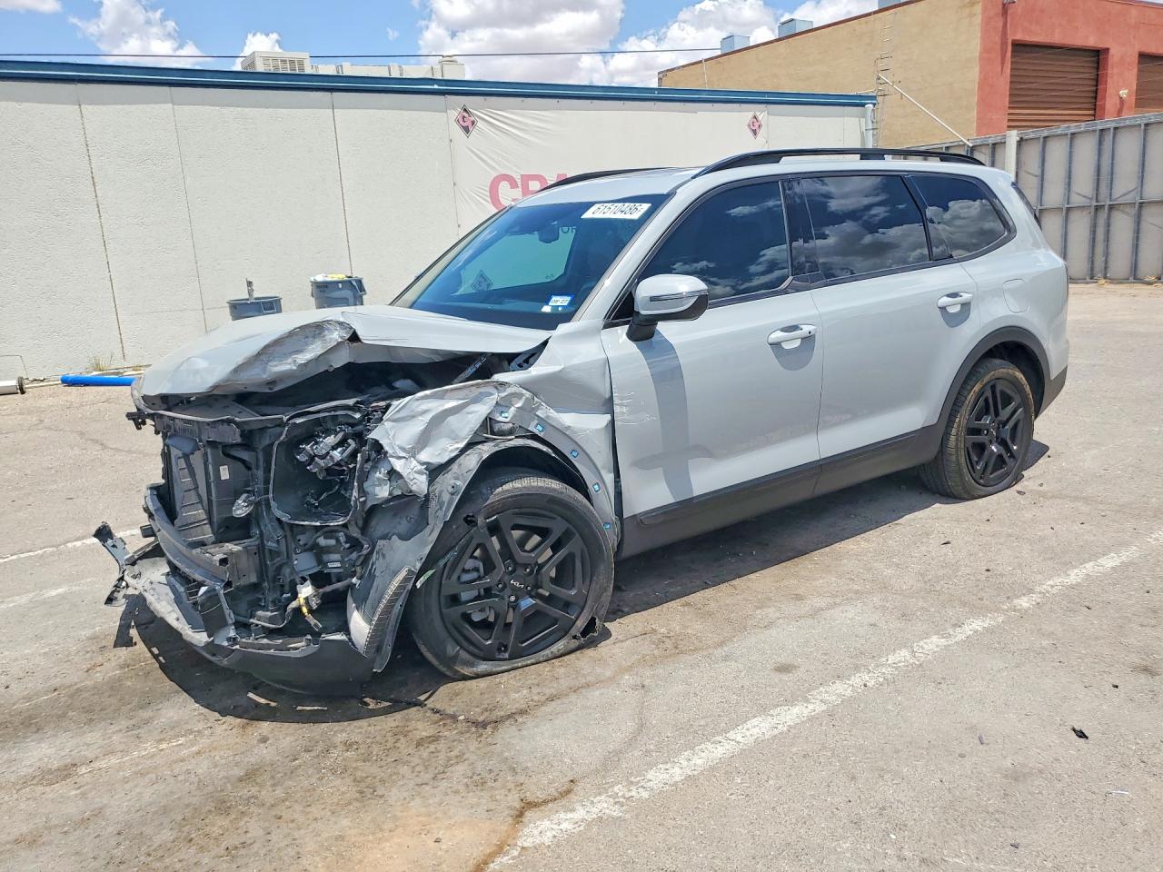 5XYP3DGC9RG540094 · 2024 KIA TELLURIDE