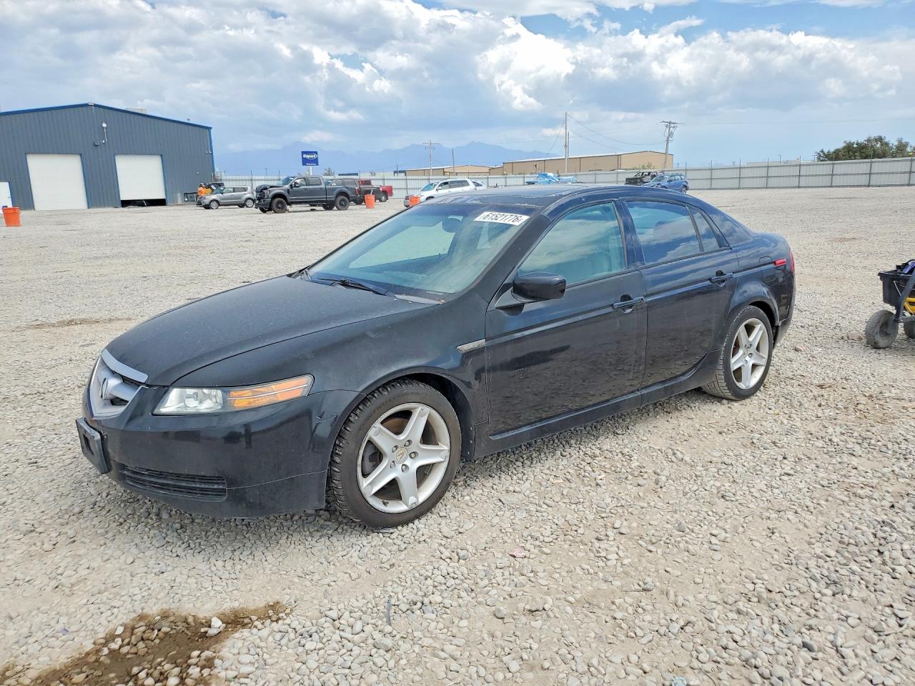 19UUA66245A038828 · 2005 ACURA TL