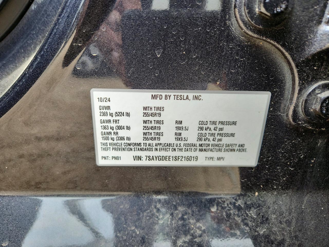 7SAYGDEE1SF216019 · 2025 TESLA MODEL Y · 12/12