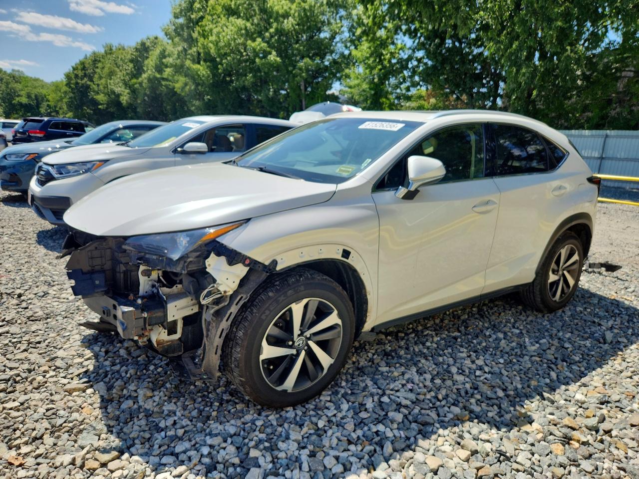 JTJBARBZXJ2161335 · 2018 LEXUS NX 300