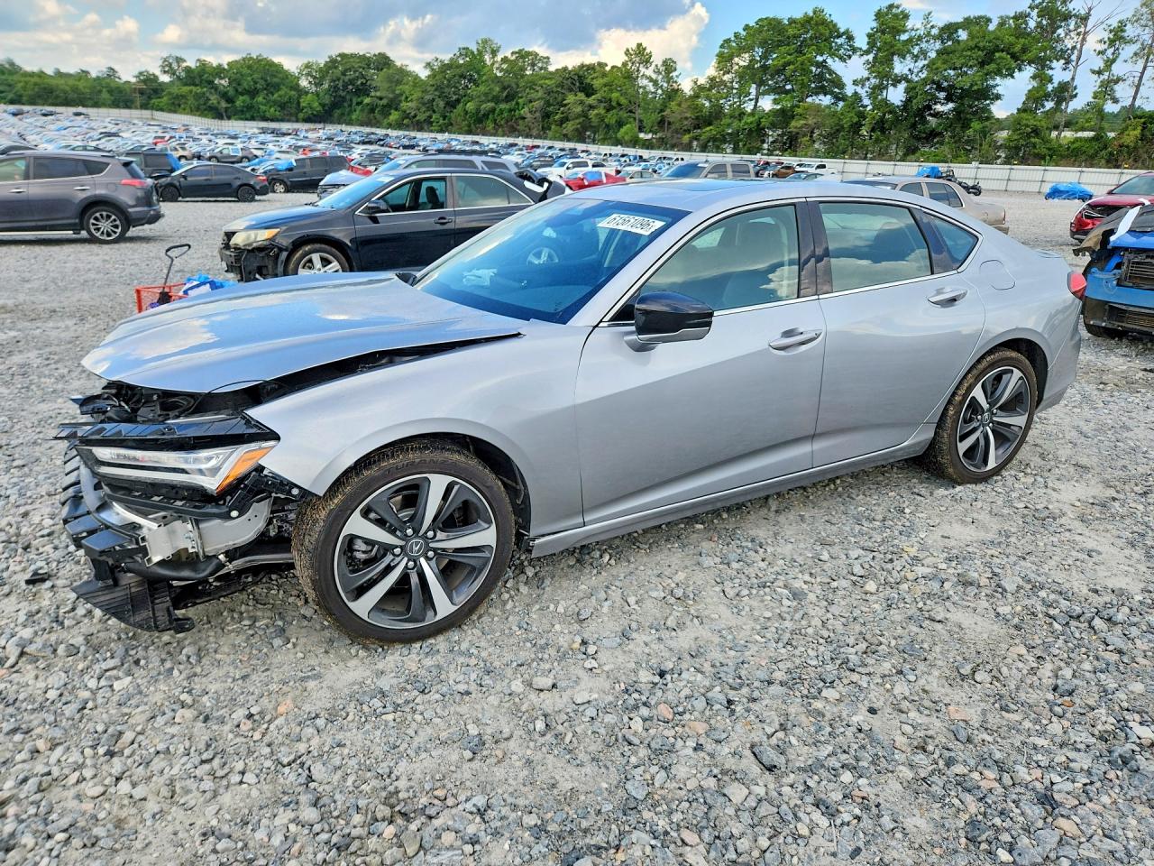 19UUB5F41SA001031 · 2025 ACURA TLX