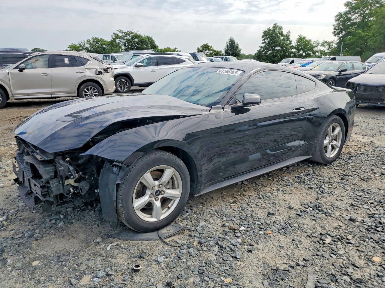 1FA6P8THXK5200675 · 2019 FORD MUSTANG