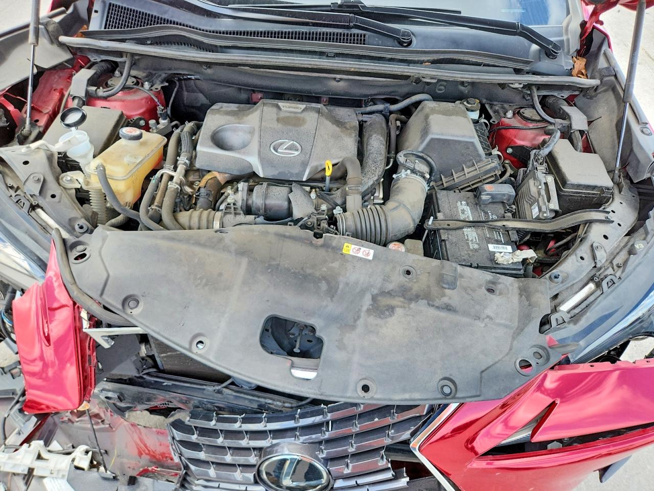 JTJBARBZ5K2212063 · 2019 LEXUS NX 300 · 12/13